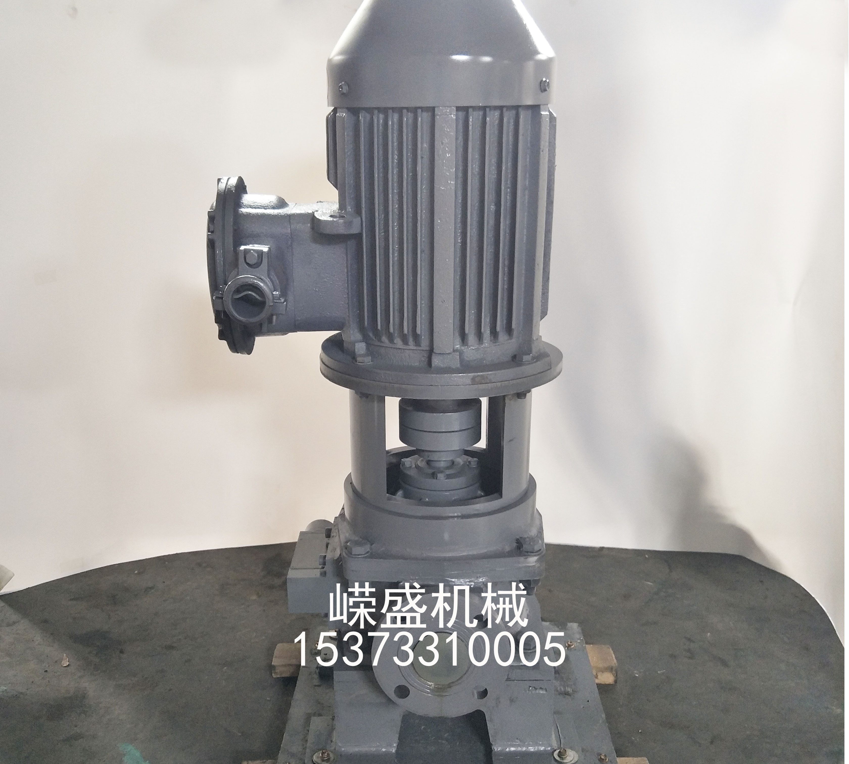 臥式滑片泵